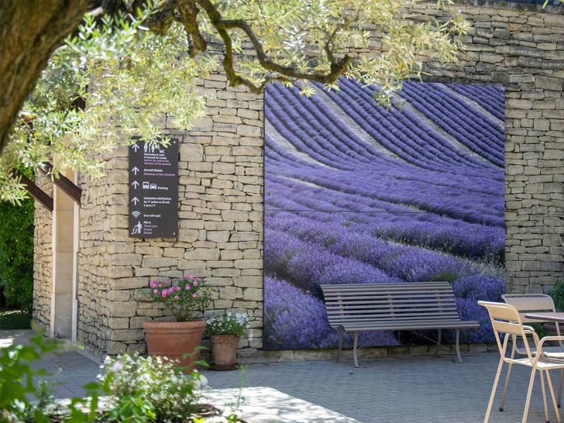 Why a museum for Lavender?